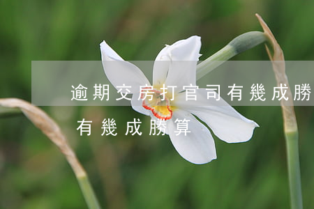 逾期交房打官司有幾成勝算(逾期交房打官司有幾成勝算)