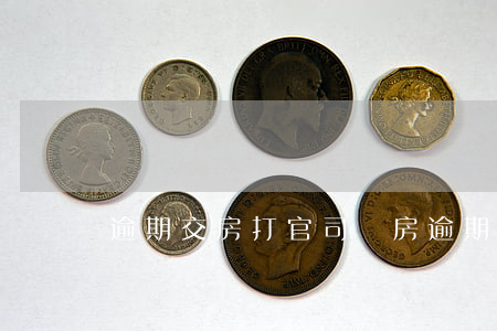 逾期交房打官司（購房逾期違約金打官司）