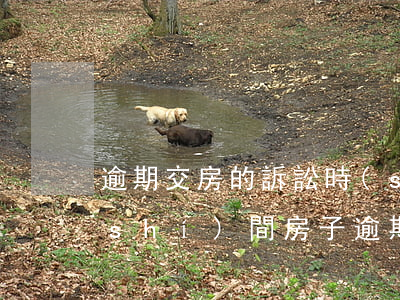逾期交房的訴訟時(shí)效是多長時(shí)間（房子逾期起訴時(shí)效）