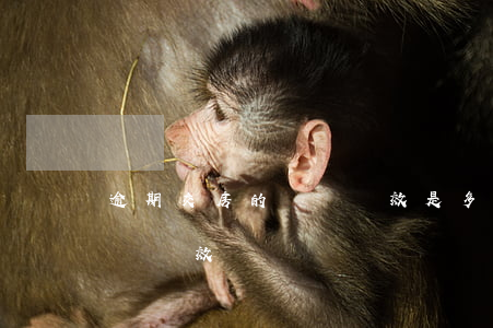 逾期交房的訴訟時效是多長時間（房子逾期起訴時效）