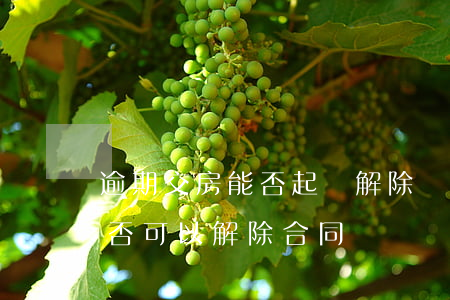 逾期交房能否起訴解除買賣合同(逾期交房是否可以解除合同)