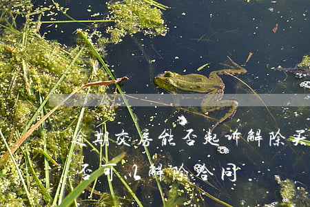 逾期交房能否起诉解除买卖合同(逾期交房是否可以解除合同)