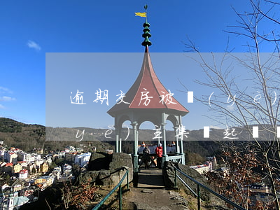 逾期交房被業(yè)主起訴(逾期交房業(yè)主集體起訴開發(fā)商)