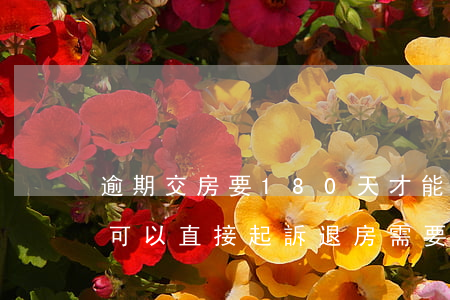 逾期交房要180天才能退房嗎-逾期交房可以直接起訴退房需要多久