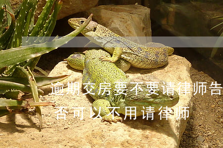 逾期交房要不要请律师(告开发商逾期交房是否可以不用请律师)