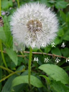 逾期交房解除貸款合同(房貸逾期了,銀行起訴解除合同,還有商量嗎)