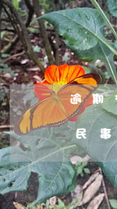 逾期交房訴訟所需證據(jù)-逾期交房民事起訴狀