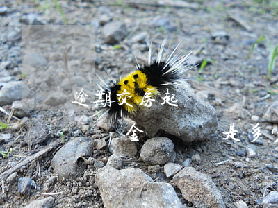 逾期交房起訴賠償違約金會成功嗎(逾期交房違約金訴訟費是多少)