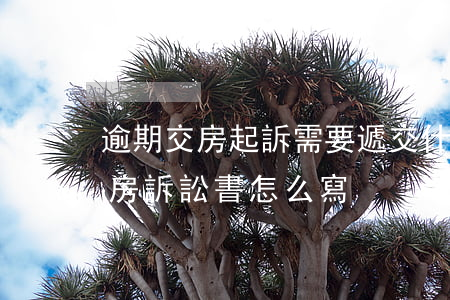 逾期交房起訴需要遞交什么材料(房屋逾期交房訴訟書怎么寫)