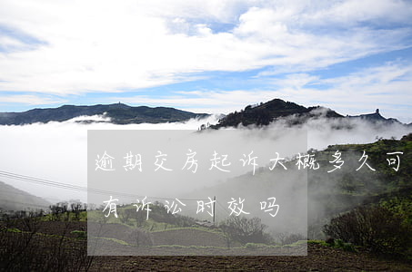 逾期交房起诉大概多久可以立案-逾期交房有诉讼时效吗