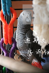 逾期交房起诉需要递交什么材料(房屋逾期交房诉讼书怎么写)
