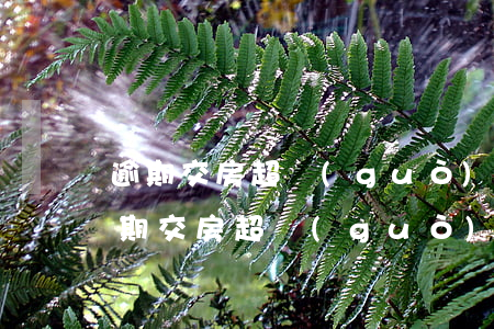 逾期交房超過(guò)1年可以起訴嗎(逾期交房超過(guò)一年可以解除合同嗎)