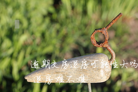 逾期交房退房可能性大吗-开发商逾期交房退房难不难?