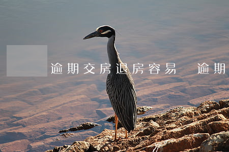 逾期交房退房容易嗎(逾期交房退房容易嗎)