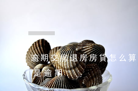 逾期交房退房房貸怎么算(房貸退后幾天才算是逾期)