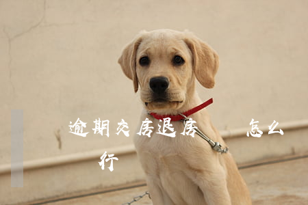 逾期交房退房敗訴怎么辦（逾期交房退房起訴銀行）