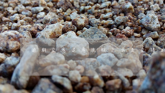 逾期交房退房流程怎么走（交楼逾期退房）