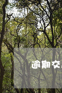 逾期交房退房流程怎么走（交樓逾期退房）
