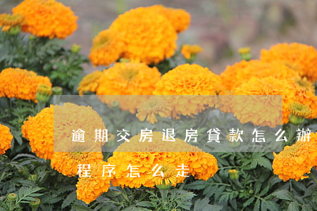 逾期交房退房貸款怎么辦(房子逾期交房退房程序怎么走)