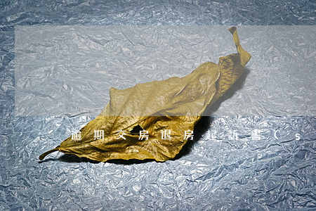 逾期交房退房起訴書(shū)范本