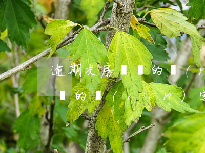 逾期交房違約的認(rèn)定 逾期交房違約的認(rèn)定條件