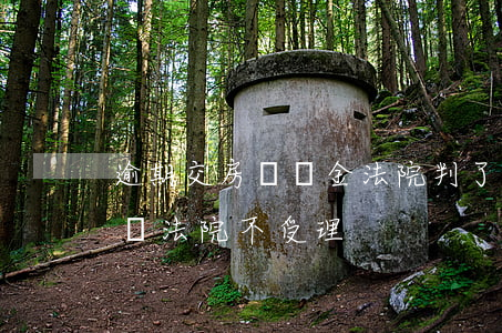 逾期交房違約金法院判了(逾期交房違約金起訴法院不受理)