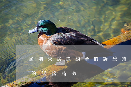 逾期交房違約金的訴訟時效 延期交房違約金的訴訟時效