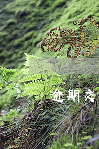 逾期交房違約金能否重復(fù)起訴