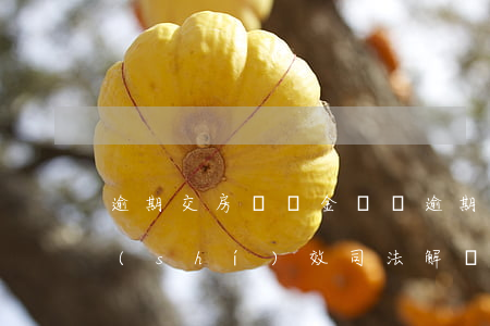 逾期交房違約金訴訟(逾期交房違約金訴訟時(shí)效司法解釋)