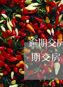 逾期交房違約金賠付截止時(shí)間(逾期交房違約金判例)
