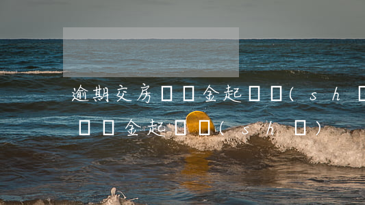 逾期交房違約金起訴書(shū)(逾期交房違約金起訴書(shū))
