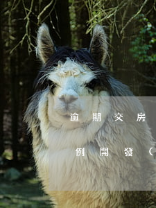 逾期交房開發(fā)商責(zé)任的案例(開發(fā)商違約逾期交房)