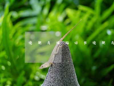 逾期交楼起诉书(逾期交房的起诉状)