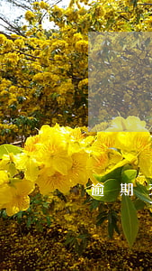 逾期交樓萬分之01(逾期交房萬分之0.1)