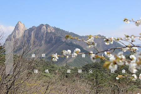 逾期交稅款會產(chǎn)生不良信用記錄嗎-逾期交稅款會產(chǎn)生不良信用記錄嗎?