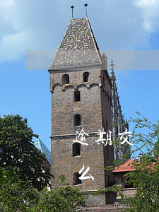 逾期交貨的違約責(zé)任條款問題是什么