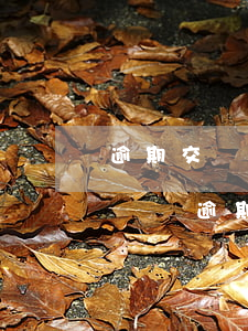 逾期交貨與逾期付款是否可以對等-逾期交貨與逾期付款是否可以對等交易