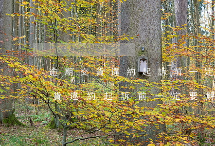 逾期交貨違約起訴前一定要解除嗎-逾期交貨違約起訴前一定要解除嗎為什么