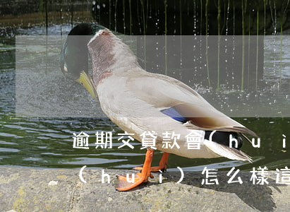 逾期交貸款會(huì)怎么樣(房貸逾期會(huì)怎么樣?這幾個(gè)結(jié)果太可怕了!)