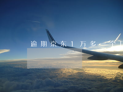 逾期京东1万多一个月了会怎样