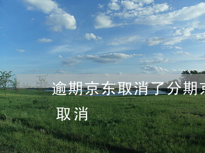 逾期京东取消了分期(京东不小心分期了如何取消)