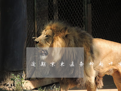 逾期京东法务部起诉(京东法诉通知)