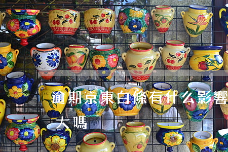 逾期京東白條有什么影響(京東白條逾期影響大嗎)