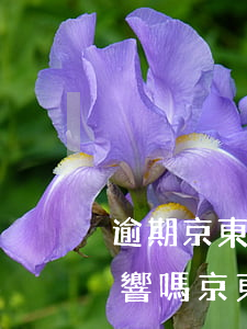 逾期京東金條會怎么樣(京東金條逾期會有影響嗎?京東金條逾期攻略!)