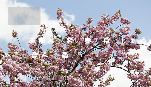 逾期人員名單查詢系統(tǒng)（逾期貸款人員查詢）