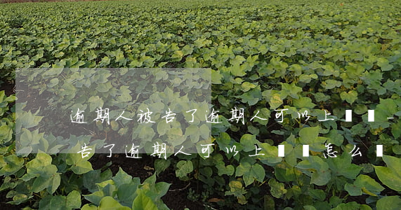 逾期人被告了逾期人可以上訴嗎-逾期人被告了逾期人可以上訴嗎怎么辦