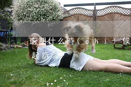 逾期什么時(shí)候起訴(逾期多久才能起訴)