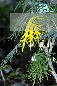 逾期什么樣的情況會(huì)被投訴(什么情況下逾期會(huì)坐牢)