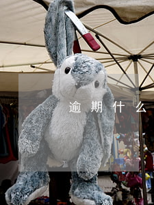 逾期什么能貸款買房 逾期能不能貸款買房子