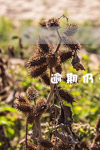 逾期仍未交房起诉模板(逾期交房诉讼书)